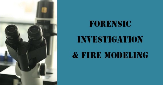 Forensic Investigations