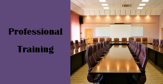 Professional Training